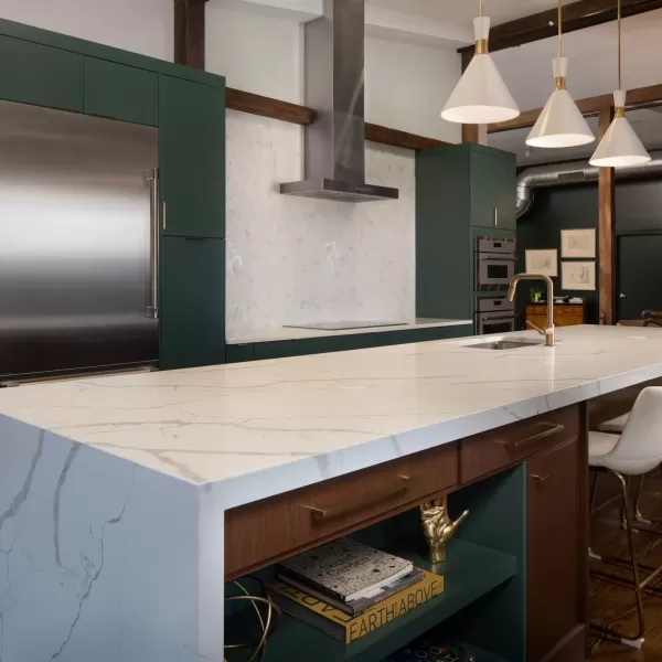 Luxurious Kitchen Area